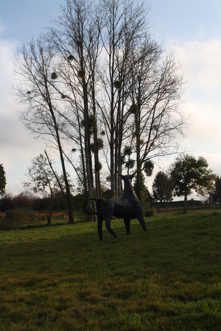 Espace Louis Derbré à Ernée