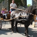 Fête de la terre - 2009